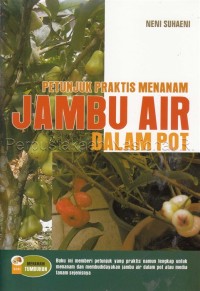 Image of Petunjuk praktis menanam jambu air dalam pot